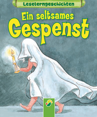 Cover des Buches „Ein seltsames Gespenst“